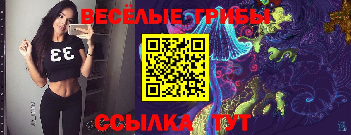 Галлюциногенные грибы Psilocybine cubensis Елизово